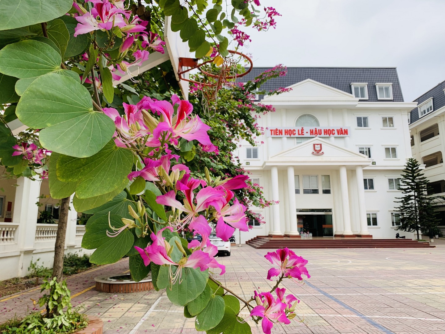 Trường THPT Khoa học Giáo dục được công nhận đạt chuẩn quốc gia